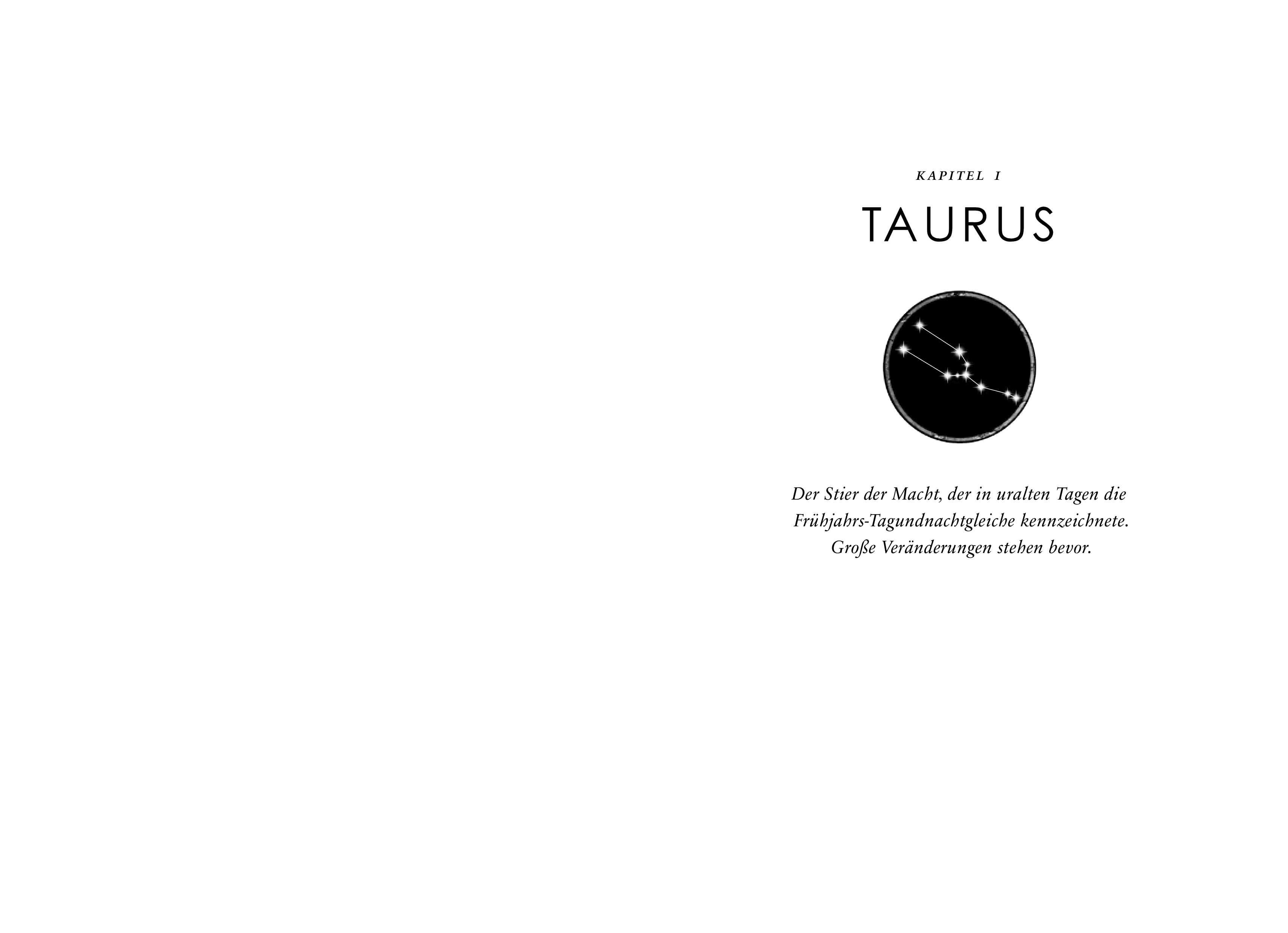 Die Sternen-Saga 1. Taurus - Die Erben der Macht (Mängelexemplar)
