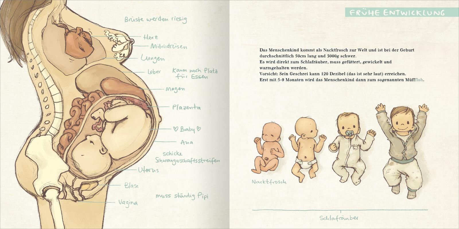 Der MüffFloh (Mängelexemplar)