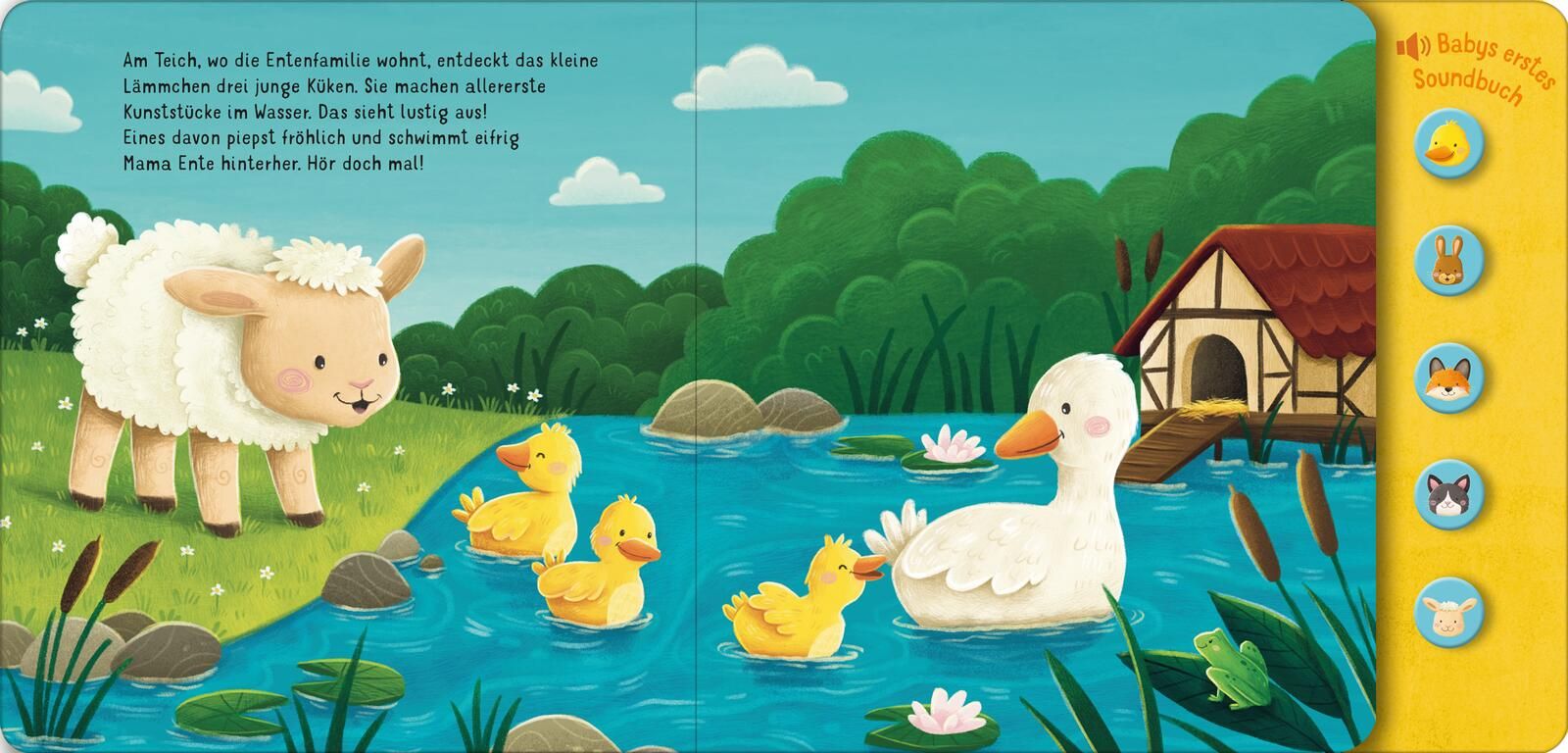 Hör mal, so klingen die Tierkinder! (Mängelexemplar)
