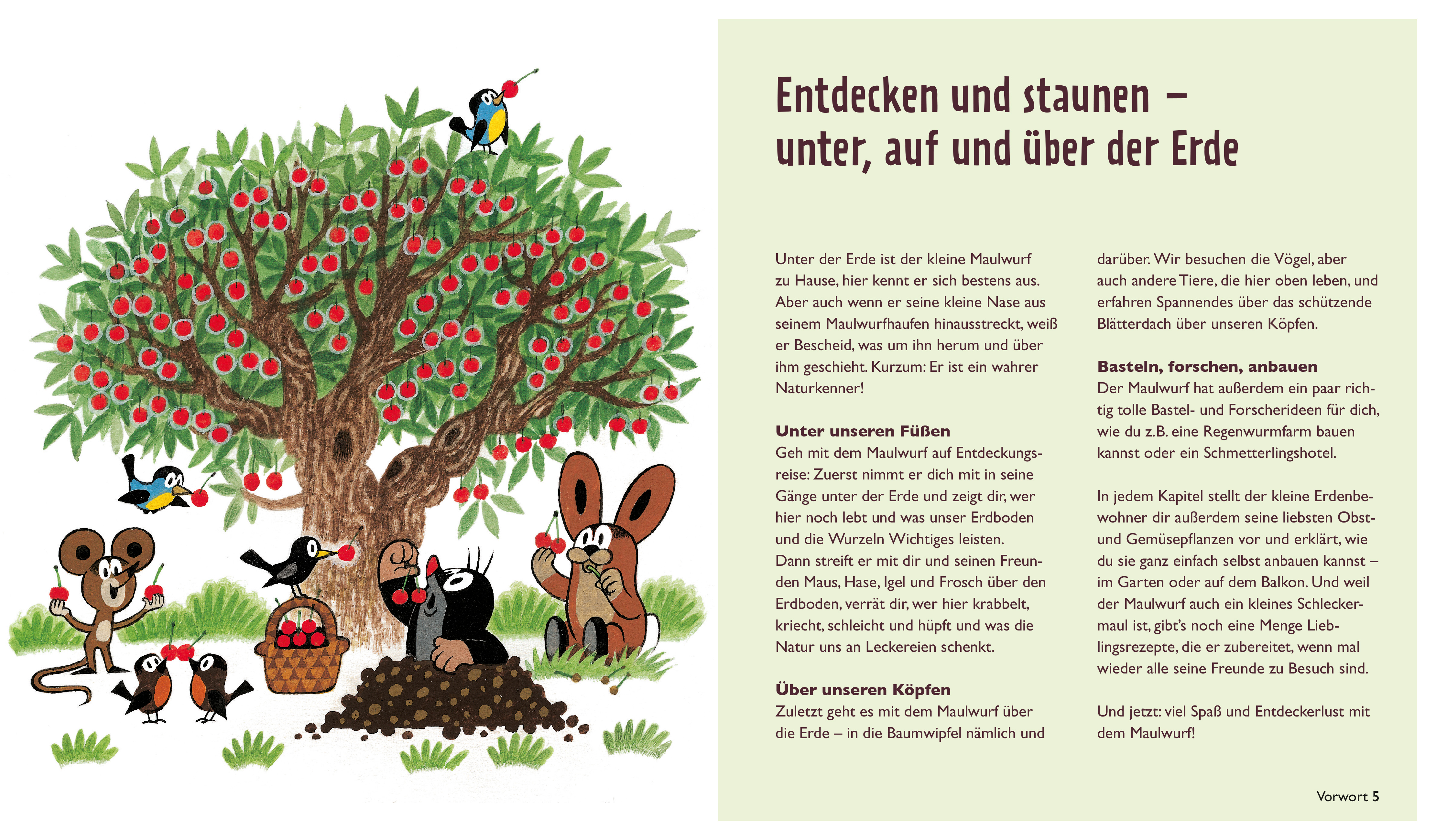 Der kleine Maulwurf: Über und unter der Erde (Mängelexemplar)
