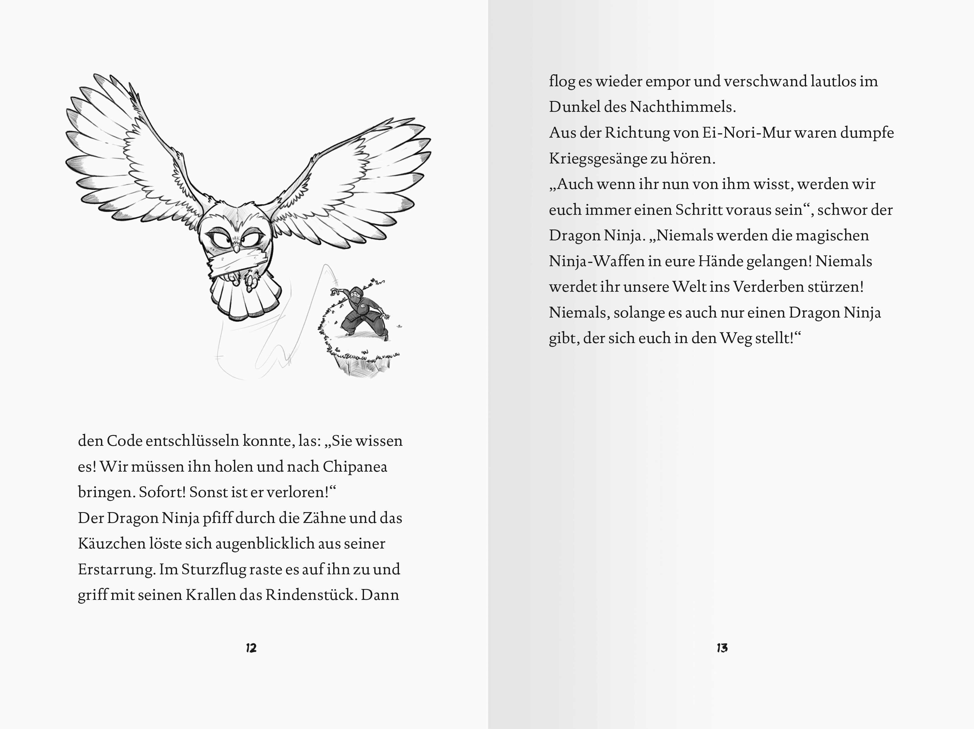 Dragon Ninjas, Band 1 - Der Drache der Berge (Mängelexemplar)