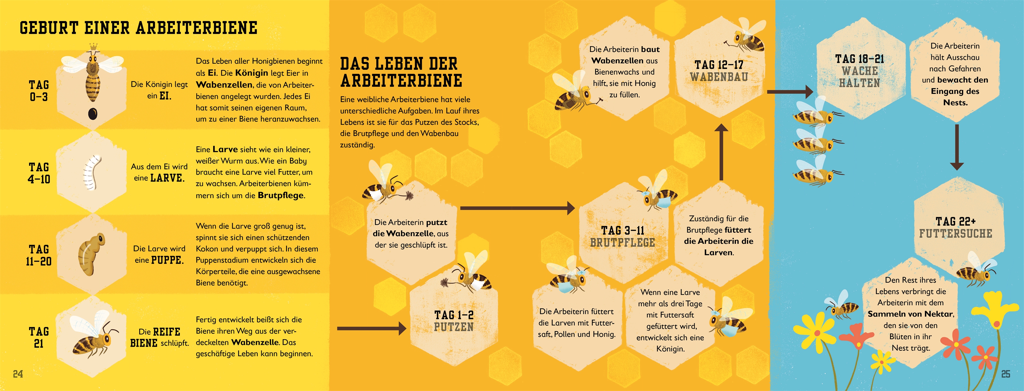 Das Buch der Bienen