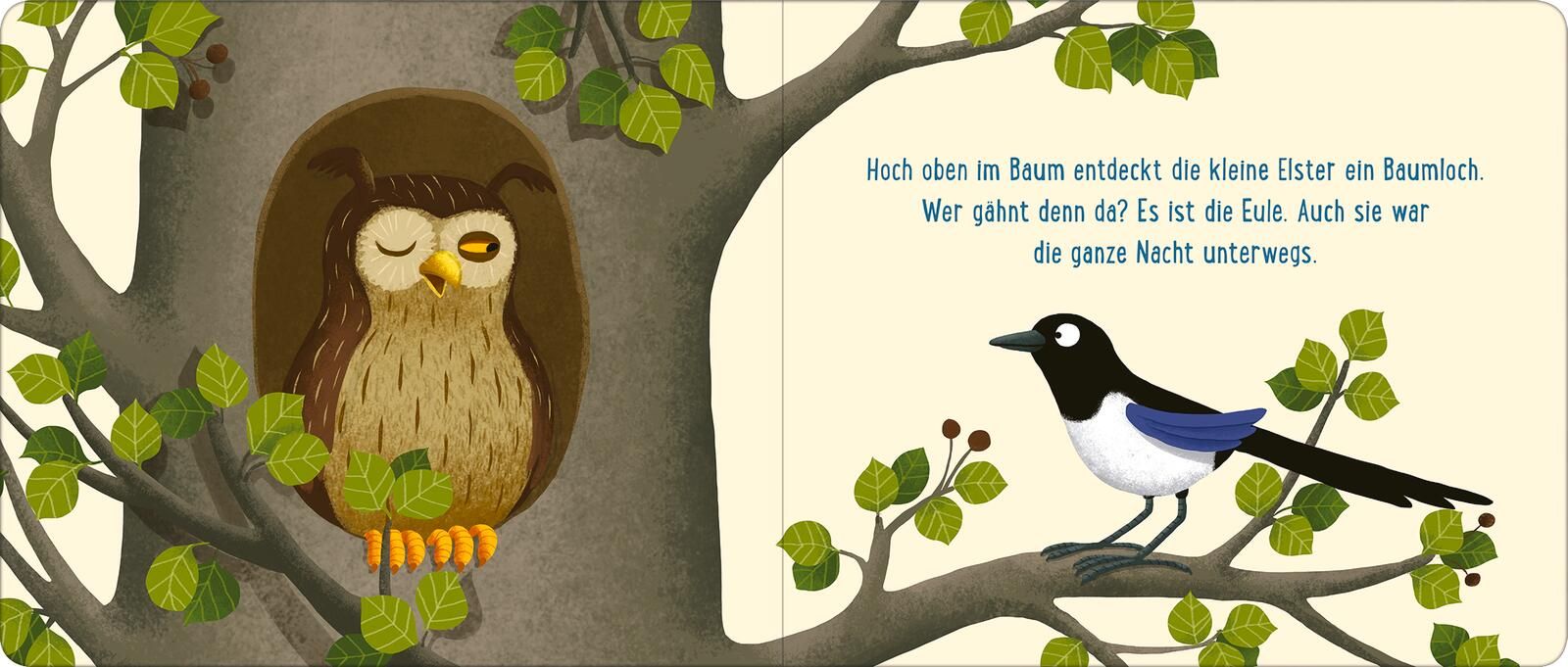 Gute Nacht im Wald (Mängelexemplar)
