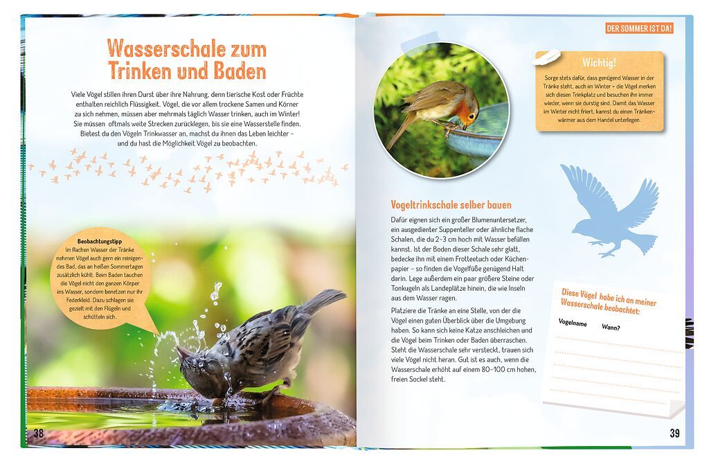 X_Erforsche die Vögel - Ihr Leben rund ums Jahr (Mängelexemplar)