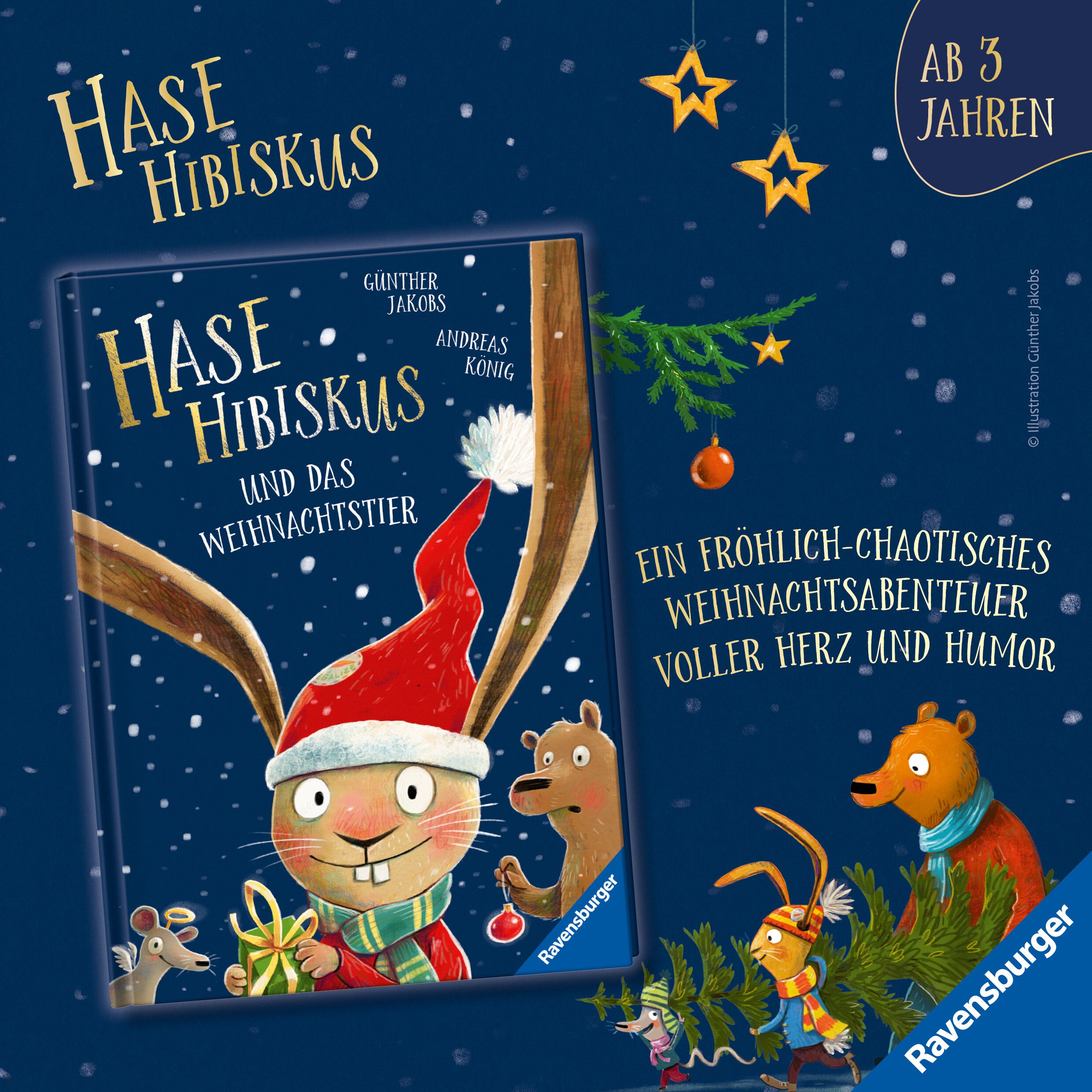 Hase Hibiskus und die (K)Einschlafparty (Mängelexemplar)