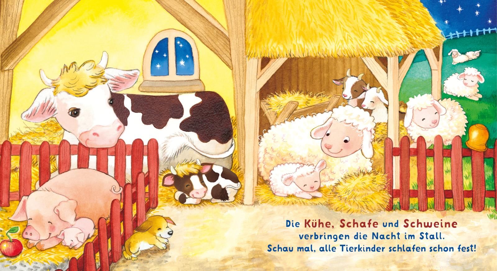 Baby Pixi (unkaputtbar) 167: Baby Pixi Stoff: Wir besuchen den Bauernhof (Mängelexemplar)