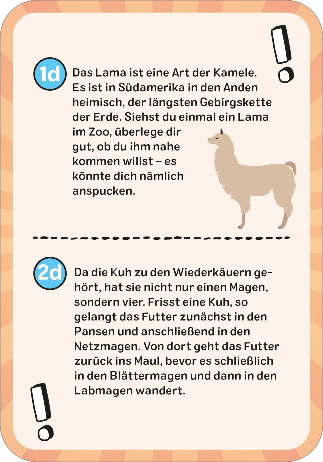 Das wilde Tier-Quiz (Mängelexemplar)