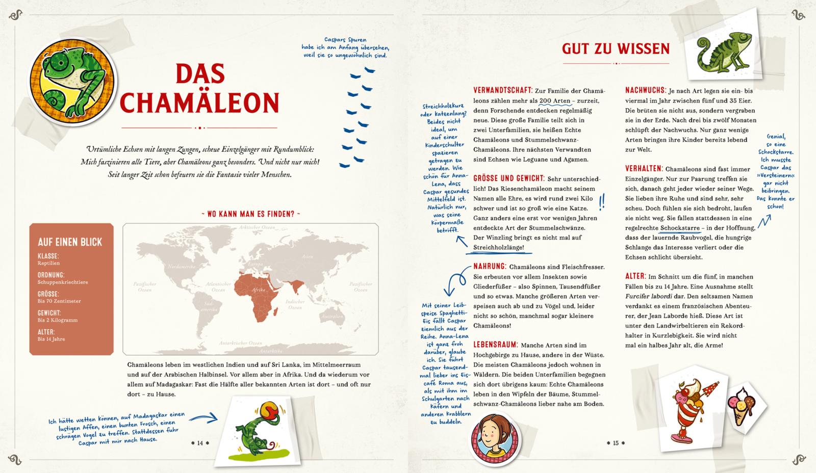 Die Schule der magischen Tiere: Mister Morrisons gesammeltes Tierwissen (Mängelexemplar)