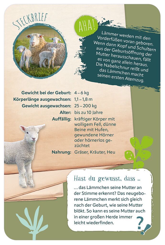 Die 100 süßesten Tierbabys (Mängelexemplar)