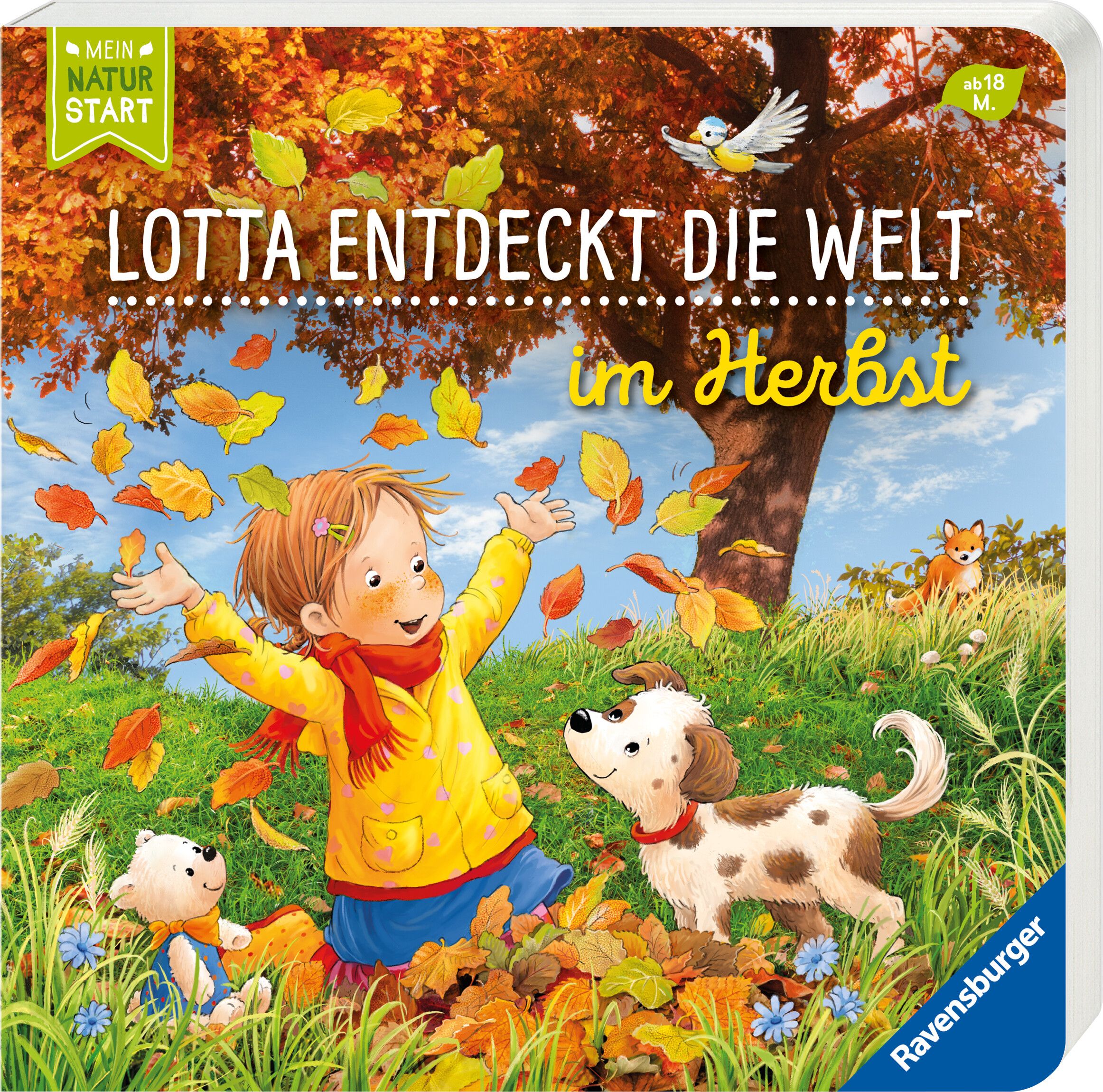 Lotta entdeckt die Welt: Im Herbst (Mängelexemplar)