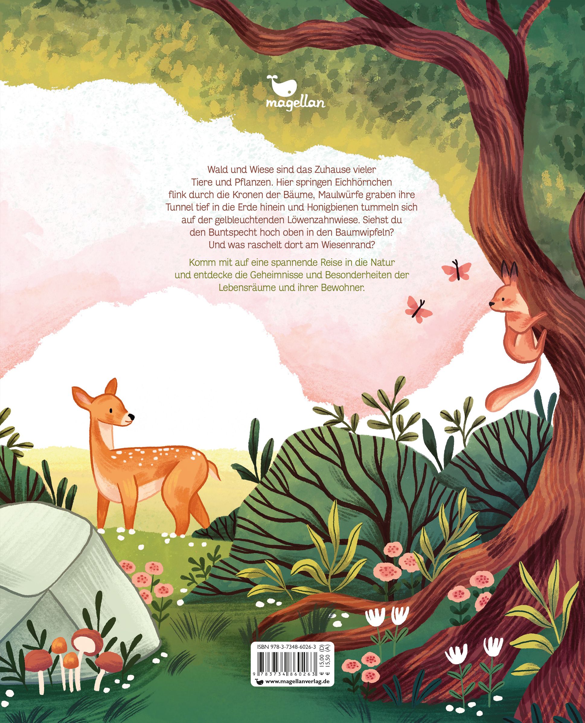 Kleine Geheimnisse der Natur - Wald und Wiese