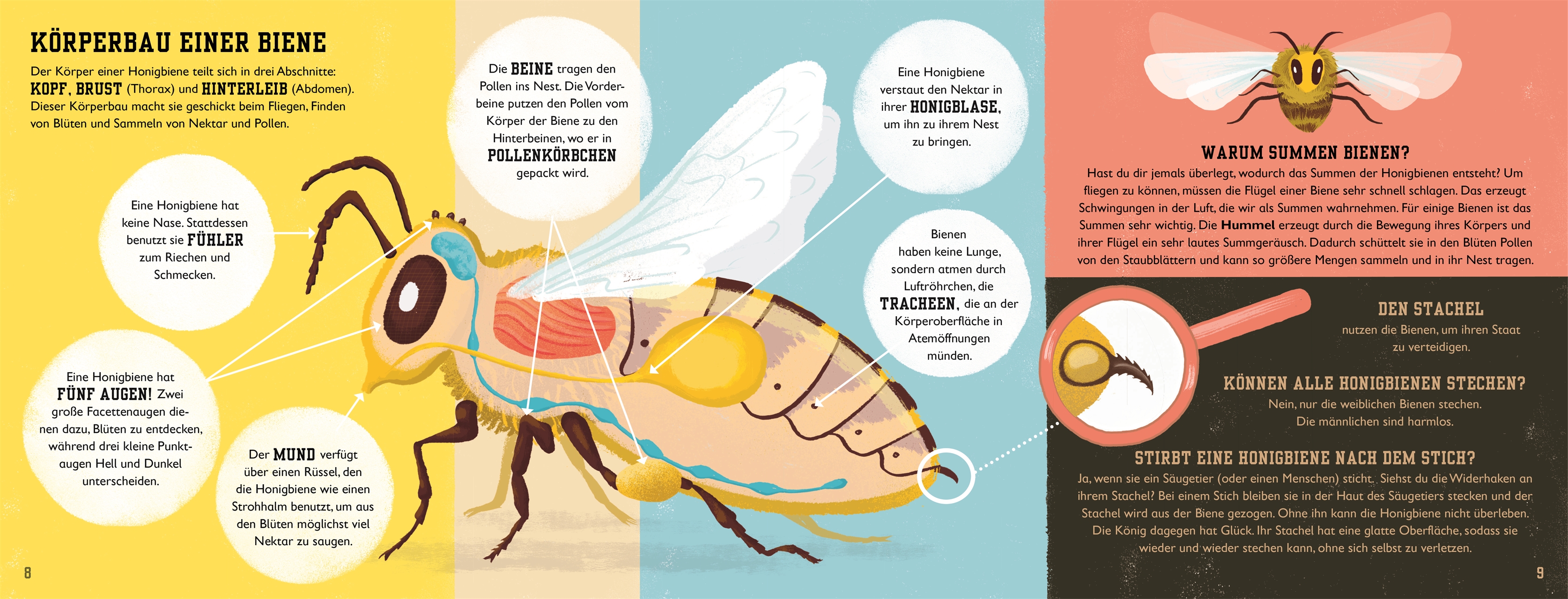 Das Buch der Bienen