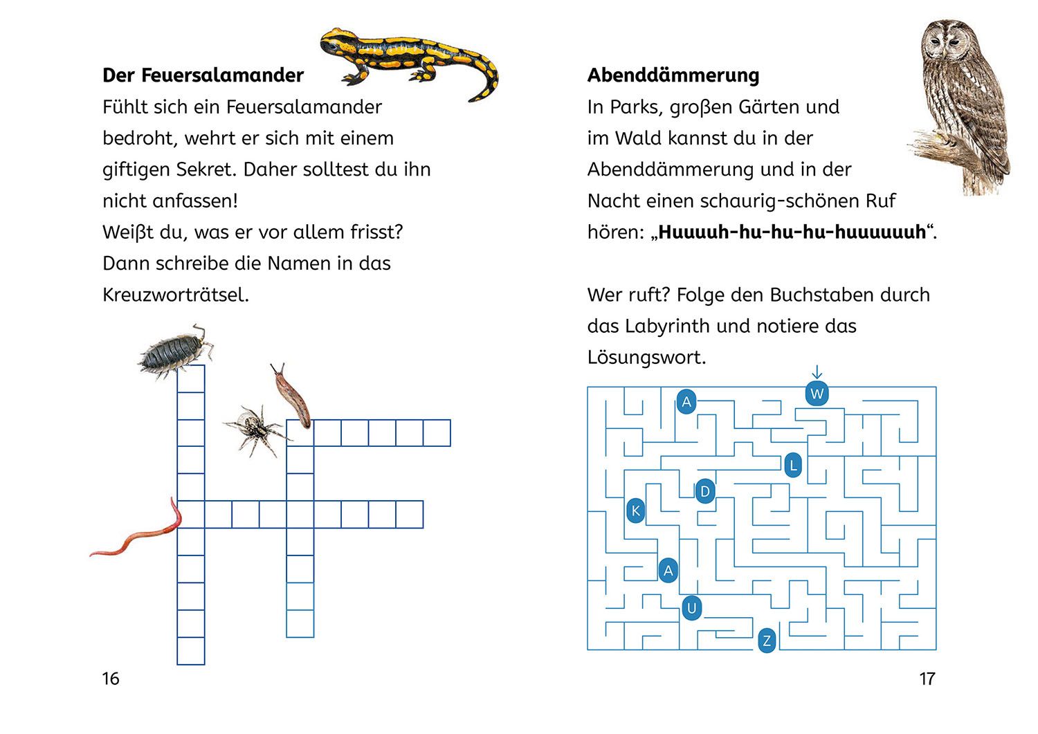 Lesen lernen mit Naturrätseln, Bücherhelden 2. Klasse, Tiere und Pflanzen im Wald (Mängelexemplar)