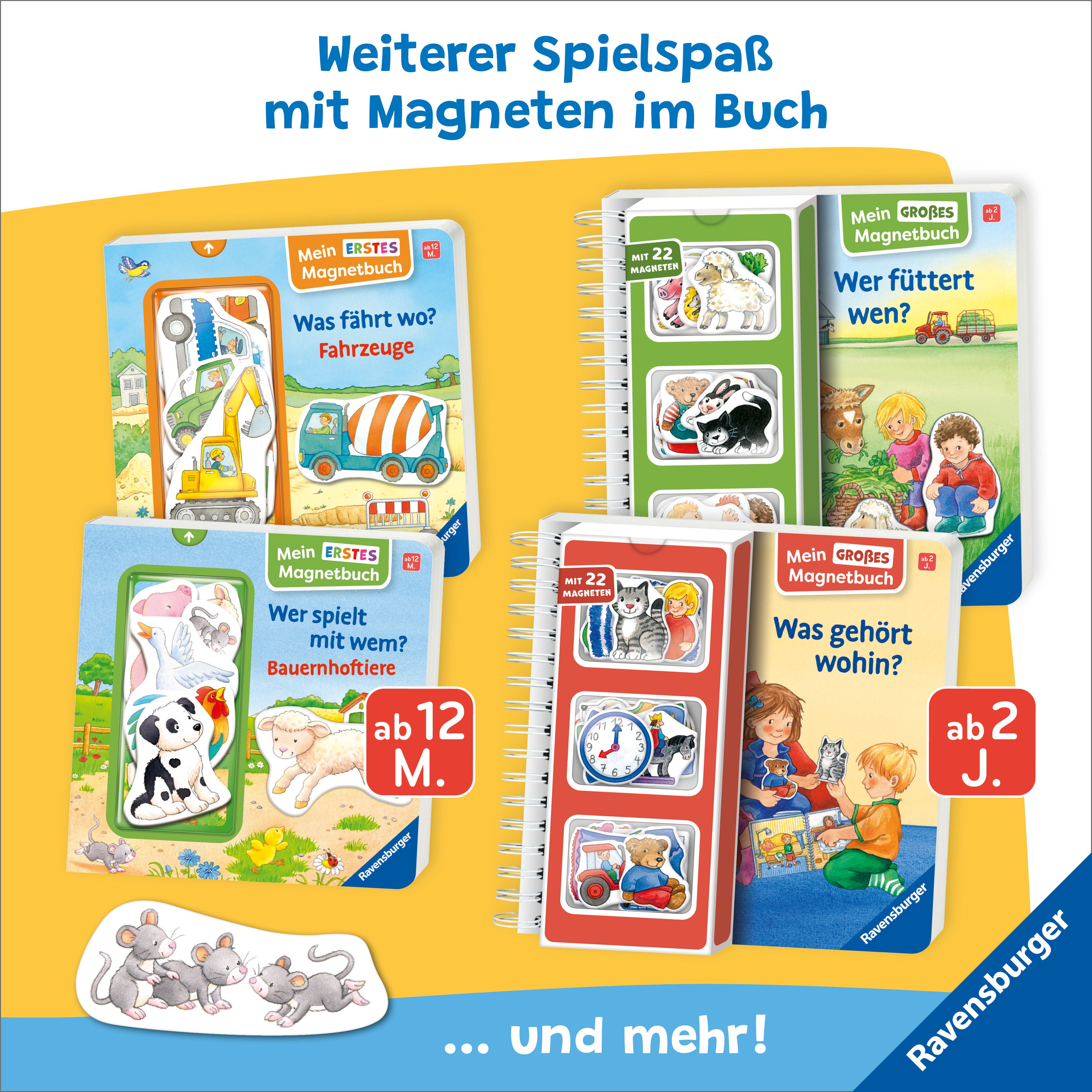 Mein großes Magnetbuch - Das machen wir am Abend (Mängelexemplar)