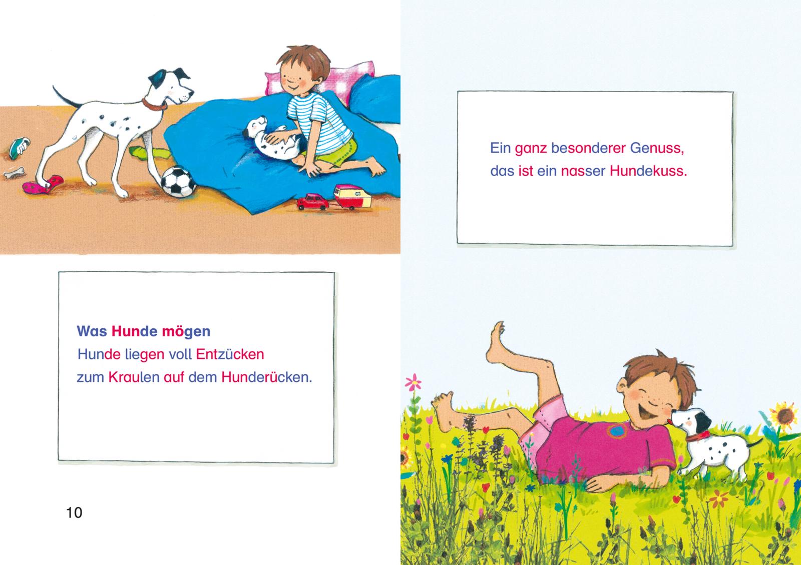 LESEMAUS zum Lesenlernen Sammelbände: Meine liebsten Hunde-Silben-Geschichten (Mängelexemplar)