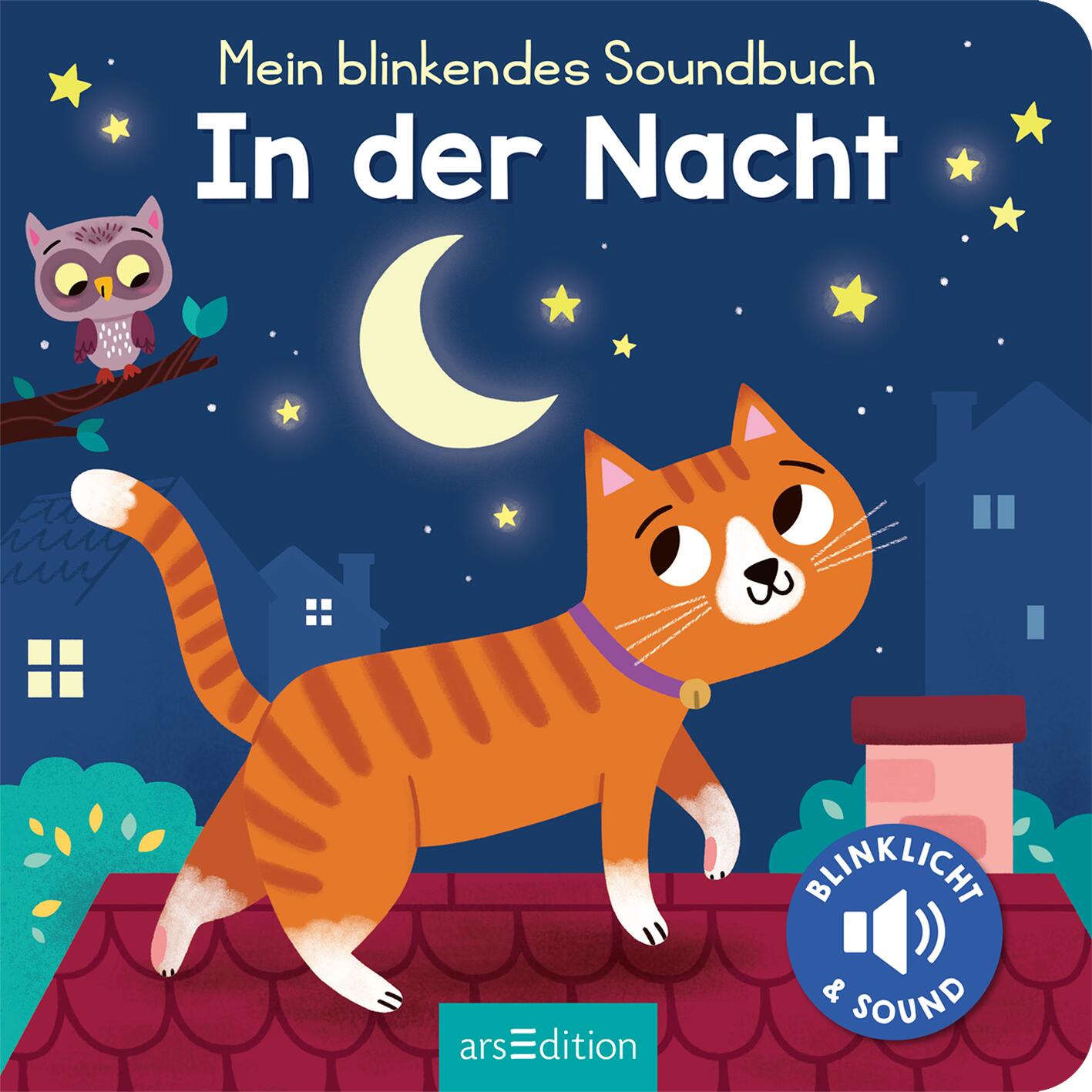 Mein blinkendes Soundbuch – In der Nacht (Mängelexemplar)