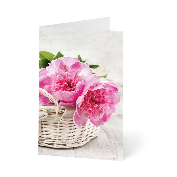 Unicef-Grußkarten für einen guten Zweck: 5 Karten und 5 Umschläge - Pastellblüten