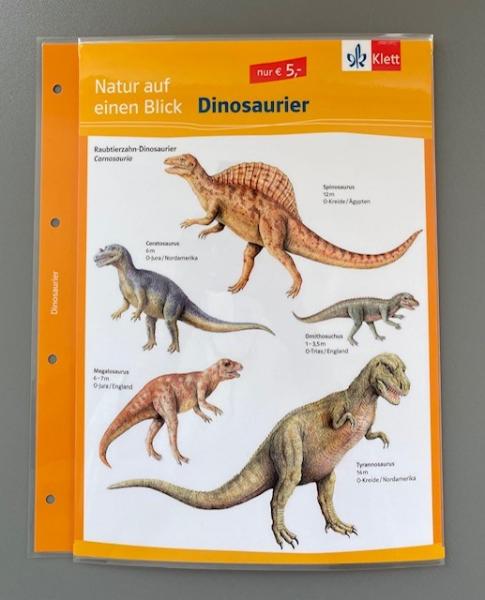 Natur auf einen Blick: Dinosaurier