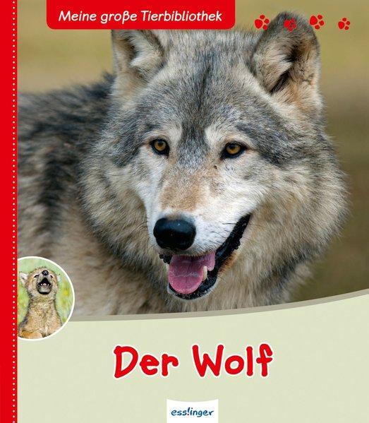 Meine große Tierbibliothek: Der Wolf (Mängelexemplar)